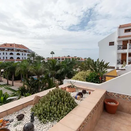 Lägenhet Parque Santiago Iii 203 - Studio Playa de las Americas (Tenerife)